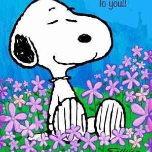 Meet your Posher, Toni